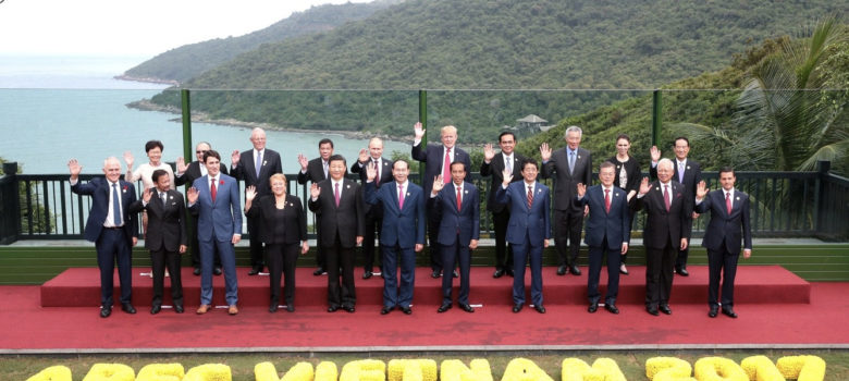APEC Vietnam 2017 http://en.kremlin.ru/events/president/news/56049