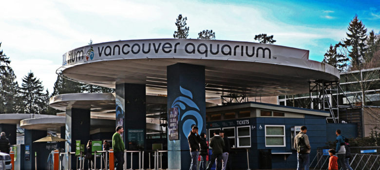 Aquarium Nov 24th, 2013 by GoToVan (CC BY 2.0) https://flic.kr/p/hSmrXE