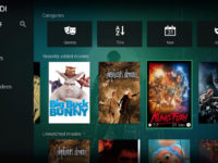 Kodi 17 by Pierre Lecourt https://flic.kr/p/RBfMXn (CC BY-NC-SA 2.0)