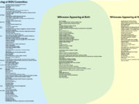 Comparison of INDU vs. CHPC copyright witnesses