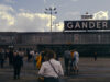 Gander by David Wipf CC BY 2.0 https://flic.kr/p/2gVnToD