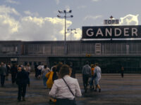 Gander by David Wipf CC BY 2.0 https://flic.kr/p/2gVnToD