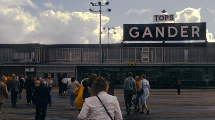 Gander by David Wipf CC BY 2.0 https://flic.kr/p/2gVnToD
