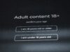 Adult content 18+ confirm your age by Zulfugar Karimov, Unsplash licence, https://unsplash.com/photos/adult-content-18-confirm-your-age-gETrmMc0G_I