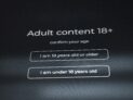 Adult content 18+ confirm your age by Zulfugar Karimov, Unsplash licence, https://unsplash.com/photos/adult-content-18-confirm-your-age-gETrmMc0G_I