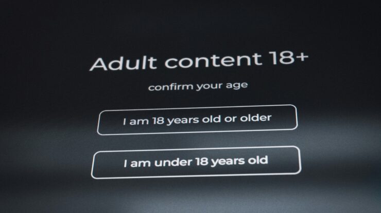Adult content 18+ confirm your age by Zulfugar Karimov, Unsplash licence, https://unsplash.com/photos/adult-content-18-confirm-your-age-gETrmMc0G_I